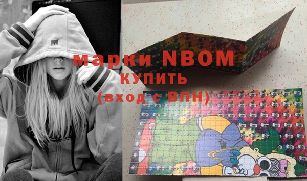 стаф Инта