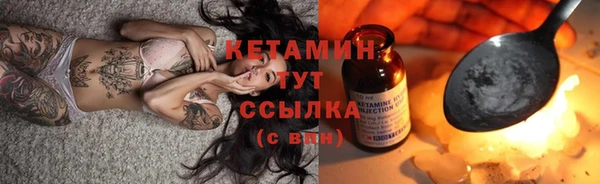 стаф Инта