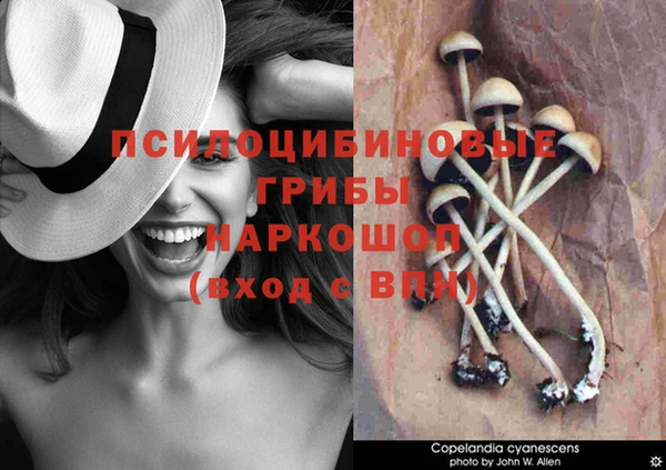 СК Инсар