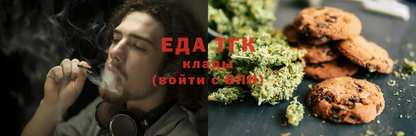 стаф Инта