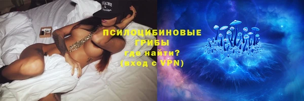 стаф Инта