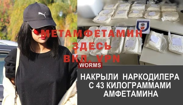 стаф Инта