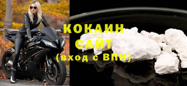 стаф Инта
