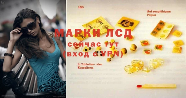 стаф Инта