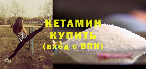 стаф Инта