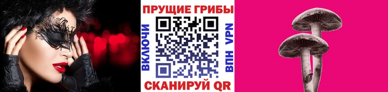 Псилоцибиновые грибы Psilocybine cubensis  Купить закладки  Элиста 
